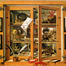 Conférence : Les cabinets de curiosités ou les théâtres de l’étrange