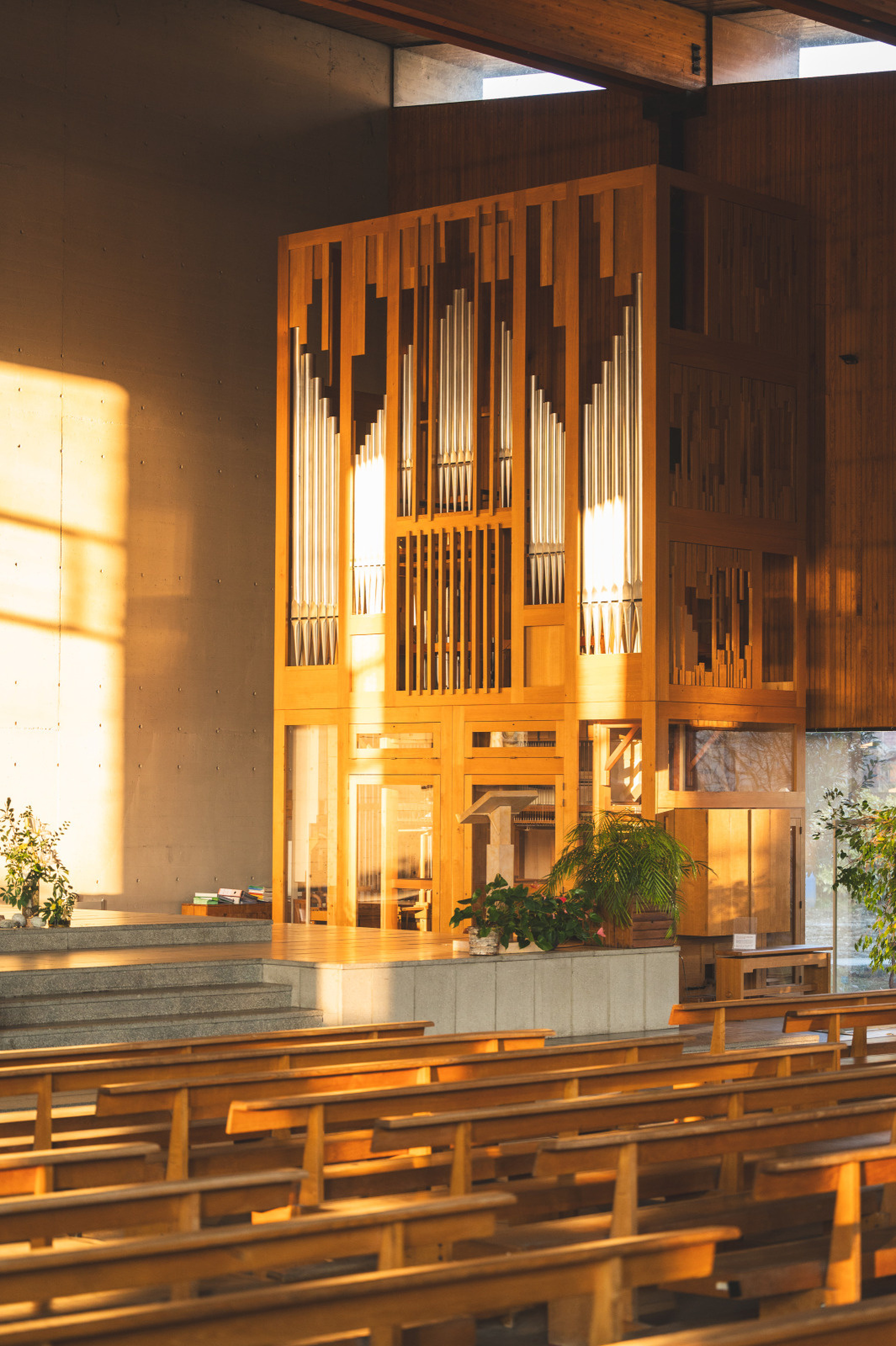 JEP2026 - Eglise Sainte-Bernadette : découverte des orgues